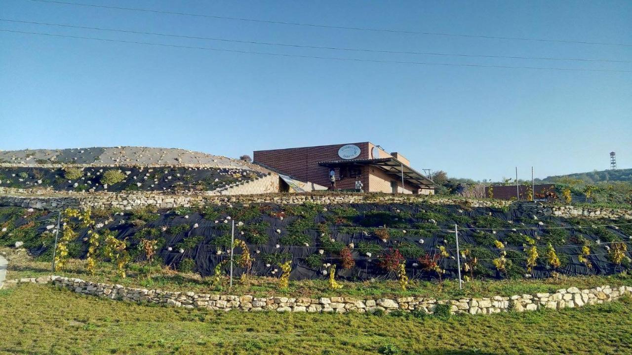 Penzion U Vinarstvi Sabata Zaječí Exterior foto
