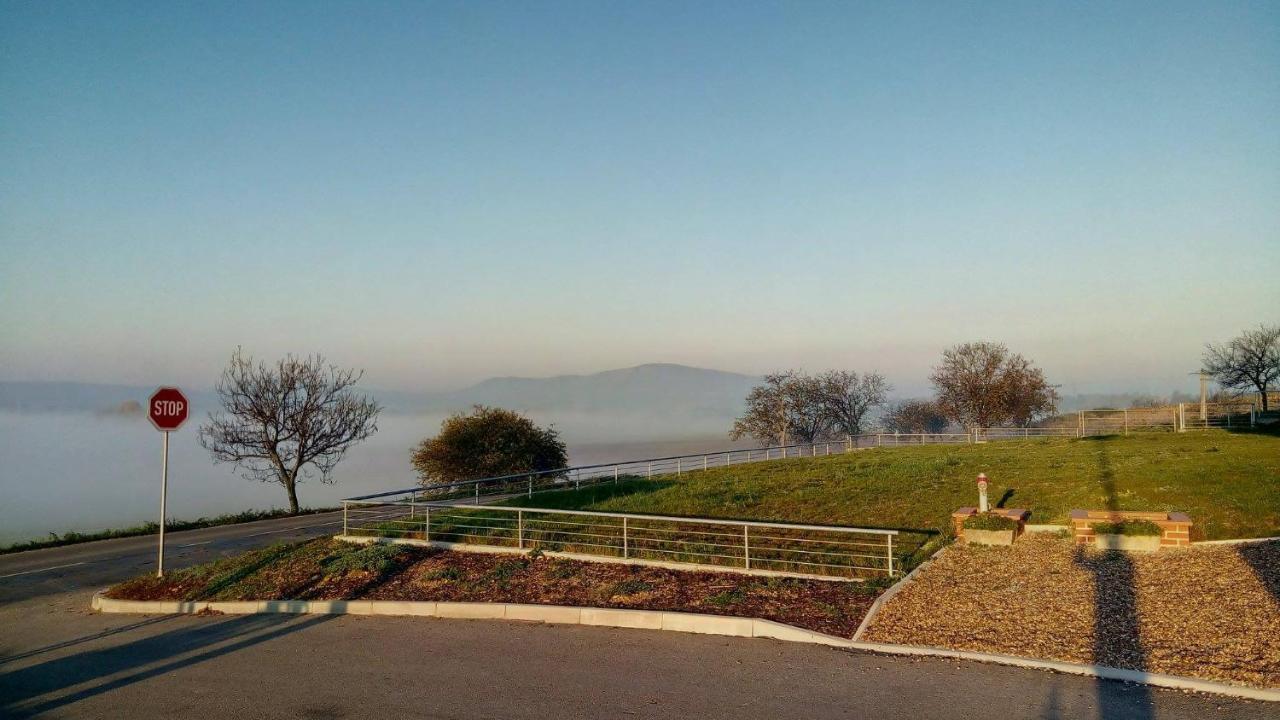 Penzion U Vinarstvi Sabata Zaječí Exterior foto