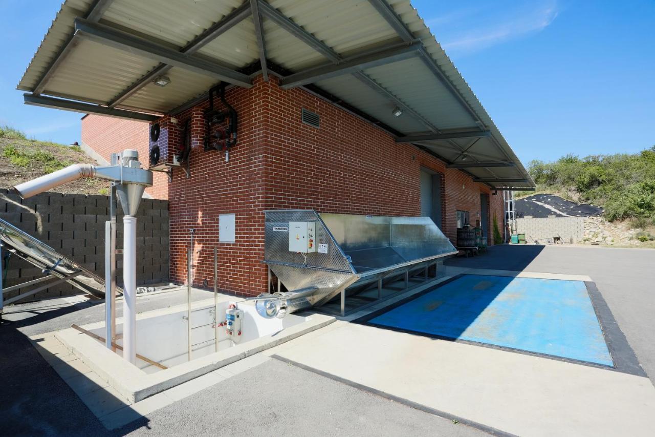 Penzion U Vinarstvi Sabata Zaječí Exterior foto
